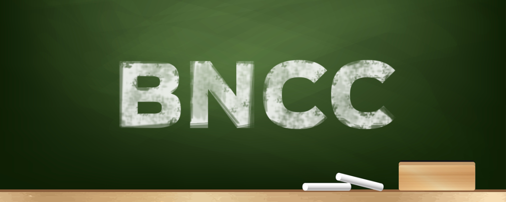 bncc versus diretrizes curriculares nacionais 